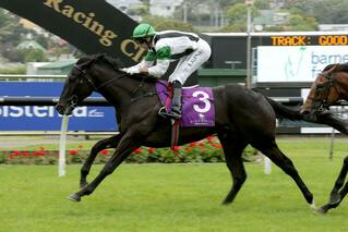 Whiskey Neat wins the Group 3 Barneswood Farm Eclipse Stakes. Photo: Trish Dunell